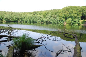 Nationalpark Jasmund auf Rügen